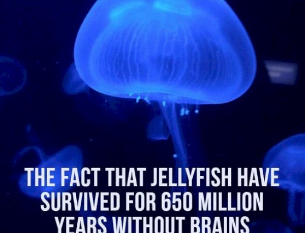 Unquestionable truth