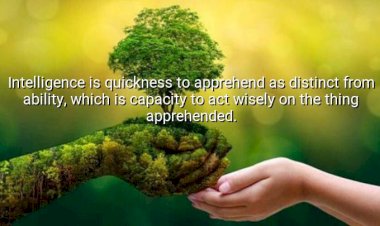 What is intelligence ?