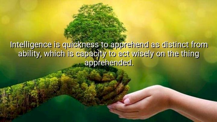 What is intelligence ?
